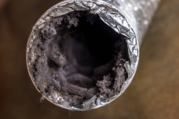 Best Emergency Air Duct Cleaning  in Tysons, VA